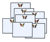 Pressed Linen -Eight Piece Elegant Flat Card Set- Colorful Butterfly
